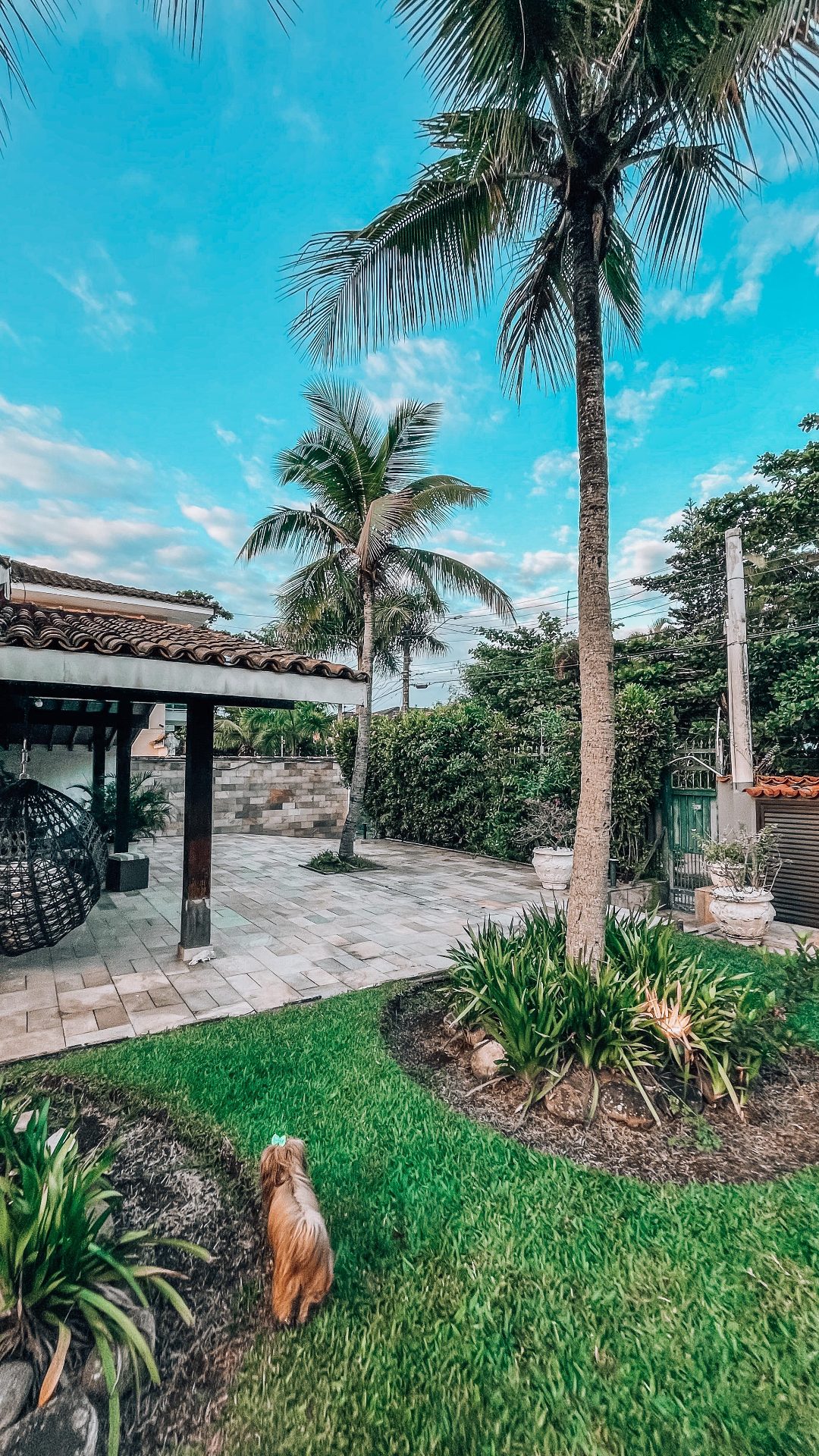 Casa em terreno de 1.555m², quadra de tênis, piscina, 6 vagas em Jardim Virgínia, Guarujá — foto 13